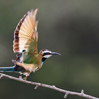 7D2_0857.jpg