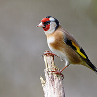 7D2_9902.jpg
