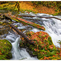 C5D4_SC-FirstFalls110823.jpg