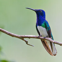 IMG_6107.jpg