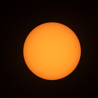 LRCC_sRGB_FW_VC2_crop_TAP17506.jpg