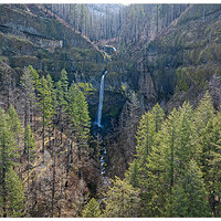DJI_M3P_24_ElowahFalls030824.jpg