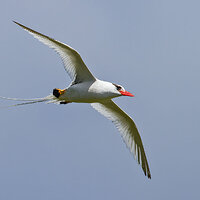 IMG_6534.jpg