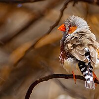IMG_4981_1.jpg