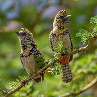 IMG_7794.jpg