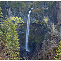 DJI_M3P_70_ElowahFalls030824.jpg