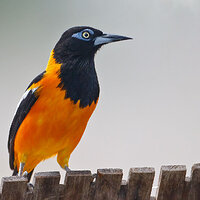 7D2_7874.jpg