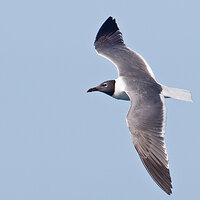 7D2_6118.jpg