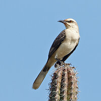 7D2_6223.jpg