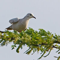 7D2_7785.jpg