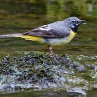 7D2_8515.jpg