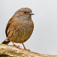 7D2_8762.jpg
