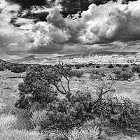_BRC0265CapitalReefBW.jpg