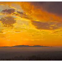 DJI_M3P_BeforeSunrise090124.jpg