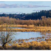 CR5m2_SalmonCreekPonds120924.jpg