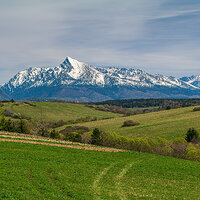 PANASONIC_DC-S1R TGArt 20x30 kopie.jpg