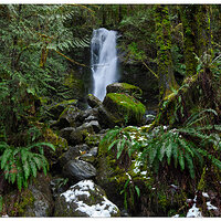 C5D2_MerrimanFalls022011.jpg