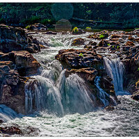 C5D_LuciaFalls072808-2.jpg