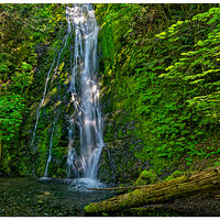 C6D_MadisonFalls3051915.jpg