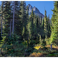CR5m2_ForestTatoosh092525.jpg