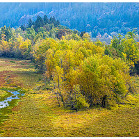 DJI_M3P_166_YoungCrMeadows102023.jpg