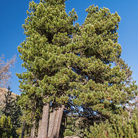 _DSF3188 –Adaptiv Photo kopie.jpg