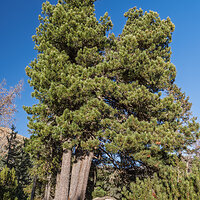 _DSF3188 –Adaptiv Photo kopie.jpg