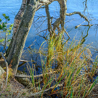 GFX100S000_010-Velvia Photo1 kopie.jpg