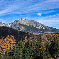 Sigma SD1Merrill Sharpen kopie.jpg