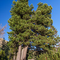 _DSF3188 – Provia Photo kopie.jpg