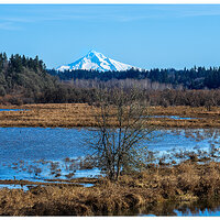 CR5m2_SalmonCreekHood021126.jpg