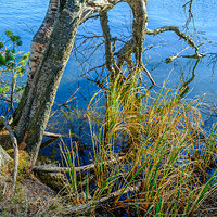 GFX100S000_010-Velvia1 Photo Rick kopie.jpg