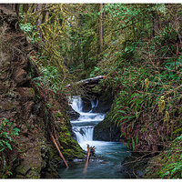 C5D2_WillabyFalls020710.jpg