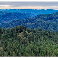 DJI_M3P_24P_CoastalMountains102825.jpg