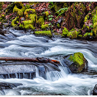 C5D2_BridalVeilCreek011810.jpg