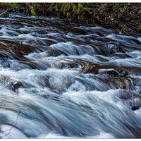 C20D_UpperBridalVeilCreek013005.jpg