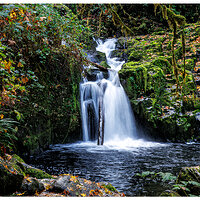 CR5m2_LowerSweetCrFalls102825.jpg