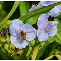 CR5m2_SW2Bee062626.jpg