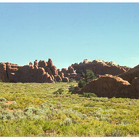 Arches greenery-Edit.jpg