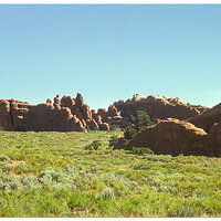 Arches greenery-Edit.jpg