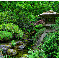 C5D_PJGPagodaMoonbridge053108.jpg