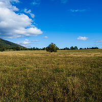 GFX100S000_014-Landscape Photo copy.jpg