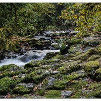 Cedar Creek