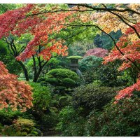 Fall in the Gardens