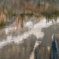 Rippling Reflection