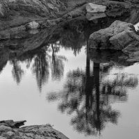 Shadows On The Lake