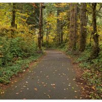 Views Along a Trail
