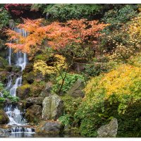 Heavenly Falls