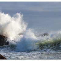 Seal Rock Splash