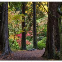 Pathway To Colors